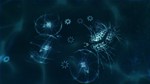 Sparkle ZERO *STEAM KEY REGION FREE GLOBAL