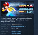 Super Dungeon Boy *STEAM KEY REGION FREE GLOBAL
