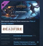Pillars of Eternity II: Deadfire Beast of Winter STEAM