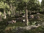 Gothic 3 * АВТОДОСТАВКА STEAM GIFT РОССИЯ