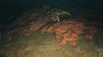 Saint Kotar * АВТОДОСТАВКА STEAM GIFT РОССИЯ
