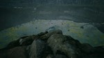 World Of Stalkers * АВТОДОСТАВКА STEAM GIFT РОССИЯ