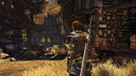 Divinity II Developer´s Cut*АВТОДОСТАВКА STEAM РОССИЯ