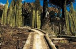 Riven: The Sequel to MYST 1997* STEAM GIFT РОССИЯ
