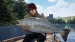 The Catch: Carp & Coarse Fishing Deluxe Edition *STEAM