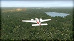 FSX: Steam Edition - Natural Tree Environment X * DLC