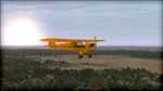 FSX: Steam Edition - Natural Tree Environment X * DLC