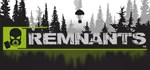 Remnants * АВТОДОСТАВКА STEAM РОССИЯ