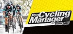 Pro Cycling Manager 2019 * АВТОДОСТАВКА STEAM РОССИЯ