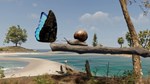 Nature Treks: Together *АВТОДОСТАВКА STEAM GIFT RUSSIA