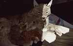 Shelter Complete Edition * АВТОДОСТАВКА STEAM РОССИЯ