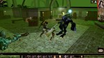 Neverwinter Nights: Infinite Dungeons STEAM GIFT РОССИЯ