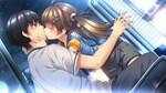 Tricolour Lovestory * АВТОДОСТАВКА STEAM РОССИЯ