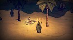 Don&acute;t Starve - Shipwrecked 💎 DLC STEAM GIFT РОССИЯ