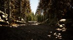 Gold Hunter * АВТОДОСТАВКА STEAM GIFT РОССИЯ