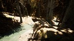 Gold Hunter * АВТОДОСТАВКА STEAM GIFT РОССИЯ