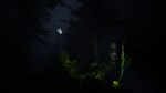 Taiga * АВТОДОСТАВКА STEAM GIFT РОССИЯ