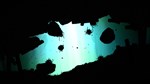 FEIST * АВТОДОСТАВКА STEAM GIFT РОССИЯ