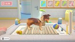 My Universe - Pet Clinic Cats & Dogs * STEAM GIFT RU