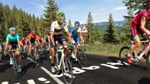 Pro Cycling Manager 2017 *АВТОДОСТАВКА STEAM РОССИЯ