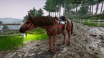 Horse Riding Deluxe 2 * АВТОДОСТАВКА STEAM GIFT РОССИЯ