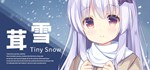 Tiny Snow * АВТОДОСТАВКА STEAM GIFT РОССИЯ