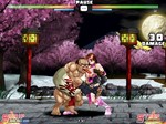 Strip Fighter 5: Chimpocon Edition * STEAM GIFT РОССИЯ