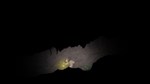 The Excavation of Hob´s Barrow * STEAM GIFT РОССИЯ