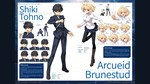 MELTY BLOOD ARCHIVES * АВТОДОСТАВКА DLC STEAM GIFT RU