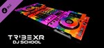 TribeXR - Rainbow Decks Skin * DLC STEAM GIFT РОССИЯ