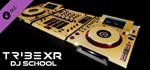 Special Edition DJ Trix Gold TribeXR - Gold Decks Skin