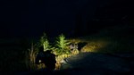 Open Country * АВТОДОСТАВКА STEAM GIFT РОССИЯ