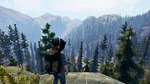 Open Country * АВТОДОСТАВКА STEAM GIFT РОССИЯ