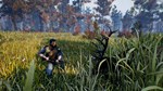 Open Country * АВТОДОСТАВКА STEAM GIFT РОССИЯ