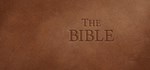The Bible * АВТОДОСТАВКА STEAM РОССИЯ