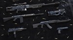 Insurgency: Sandstorm - Damascus Weapon Skin Set 💎 DLC