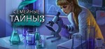 Family Mysteries 3: Criminal Mindset * STEAM РОССИЯ