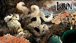 Линн, девочка изображённая на головоломке * STEAM GIFT