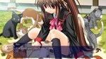 Little Busters! English Edition * АВТОДОСТАВКА STEAM