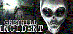 Greyhill Incident * АВТОДОСТАВКА STEAM GIFT RUSSIA