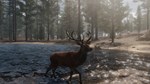 The WILDS * АВТОДОСТАВКА STEAM GIFT РОССИЯ