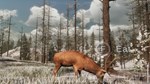 The WILDS * АВТОДОСТАВКА STEAM GIFT РОССИЯ