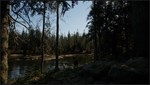 Evergreen - Mountain Life Simulator *STEAM GIFT РОССИЯ