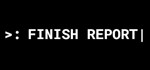 Finish Report * АВТОДОСТАВКА STEAM GIFT РОССИЯ