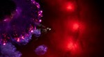 Swarm Survivor * АВТОДОСТАВКА STEAM GIFT РОССИЯ