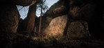 Native Hunter * АВТОДОСТАВКА STEAM GIFT РОССИЯ