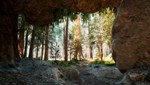 Native Hunter * АВТОДОСТАВКА STEAM GIFT РОССИЯ