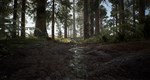 Native Hunter * АВТОДОСТАВКА STEAM GIFT РОССИЯ