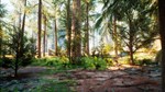 Native Hunter * АВТОДОСТАВКА STEAM GIFT РОССИЯ