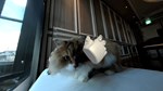 Touchly Volumetric VR Video Player * STEAM GIFT РОССИЯ